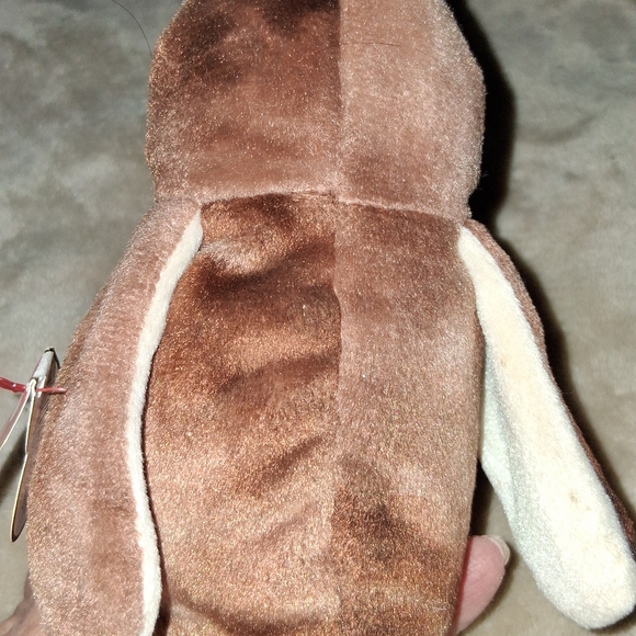 "Wise" TY Owl - Picture 8 of 15